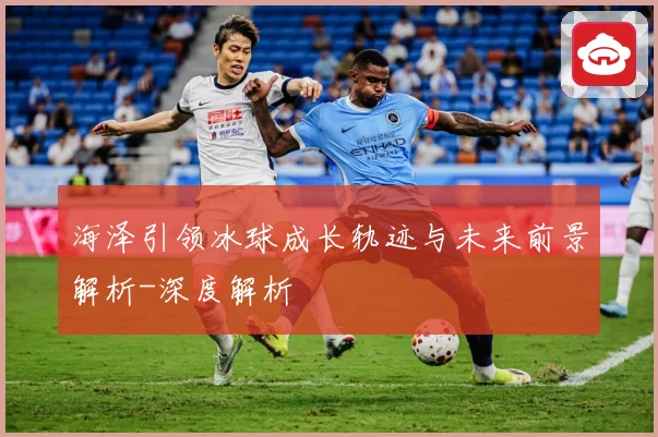 海泽引领冰球成长轨迹与未来前景解析-深度解析