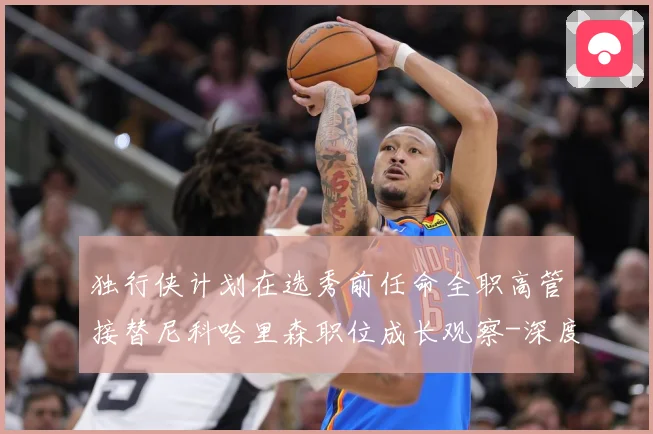 独行侠计划在选秀前任命全职高管接替尼科哈里森职位成长观察-深度解析