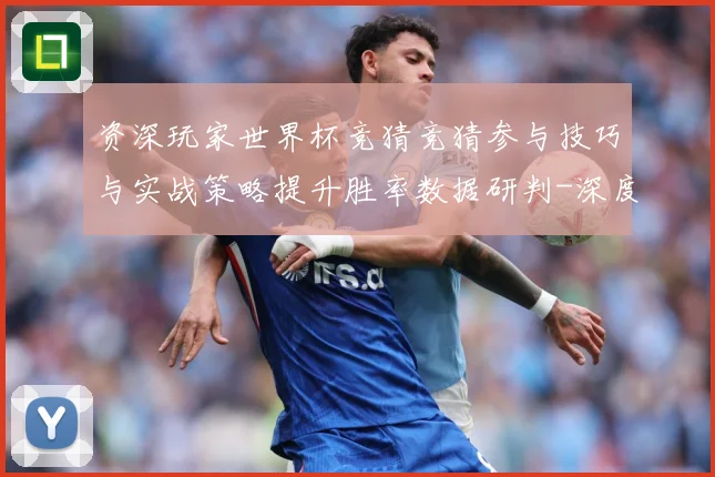 资深玩家世界杯竞猜竞猜参与技巧与实战策略提升胜率数据研判-深度解析