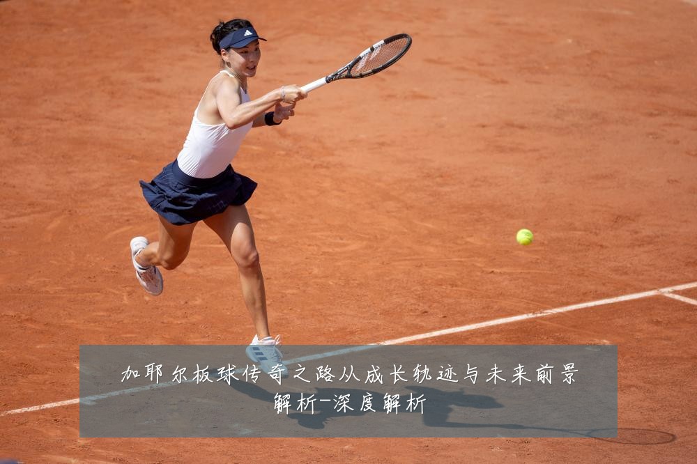 加耶尔板球传奇之路从成长轨迹与未来前景解析-深度解析