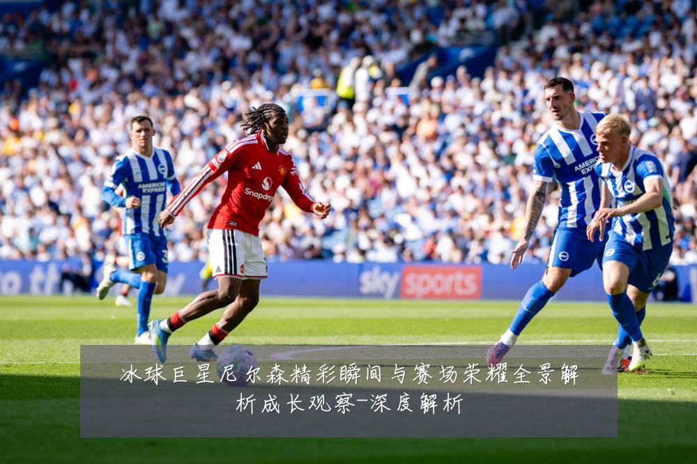 冰球巨星尼尔森精彩瞬间与赛场荣耀全景解析成长观察-深度解析