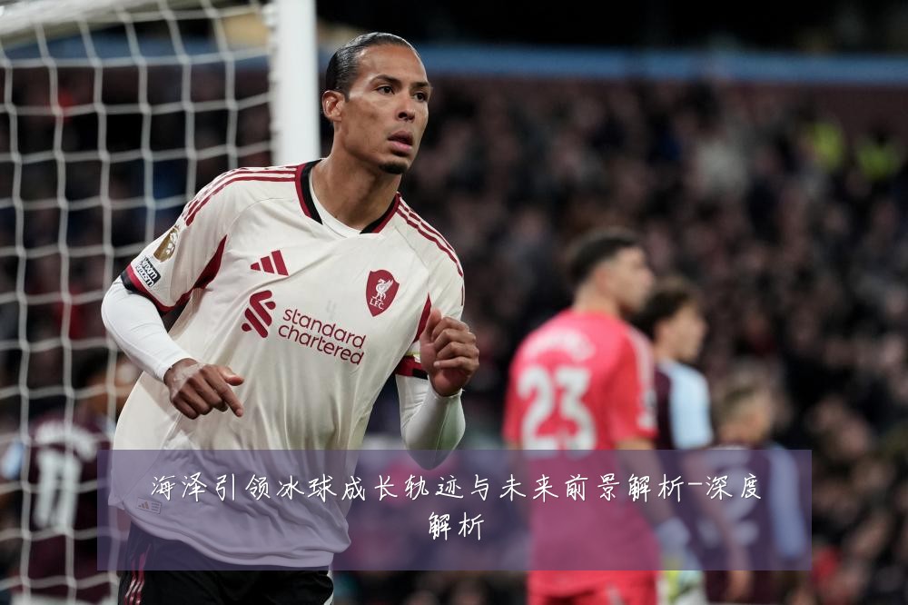 海泽引领冰球成长轨迹与未来前景解析-深度解析