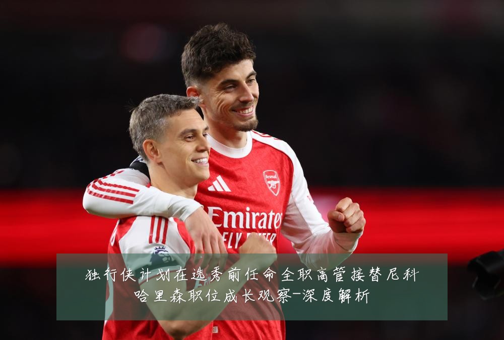 独行侠计划在选秀前任命全职高管接替尼科哈里森职位成长观察-深度解析